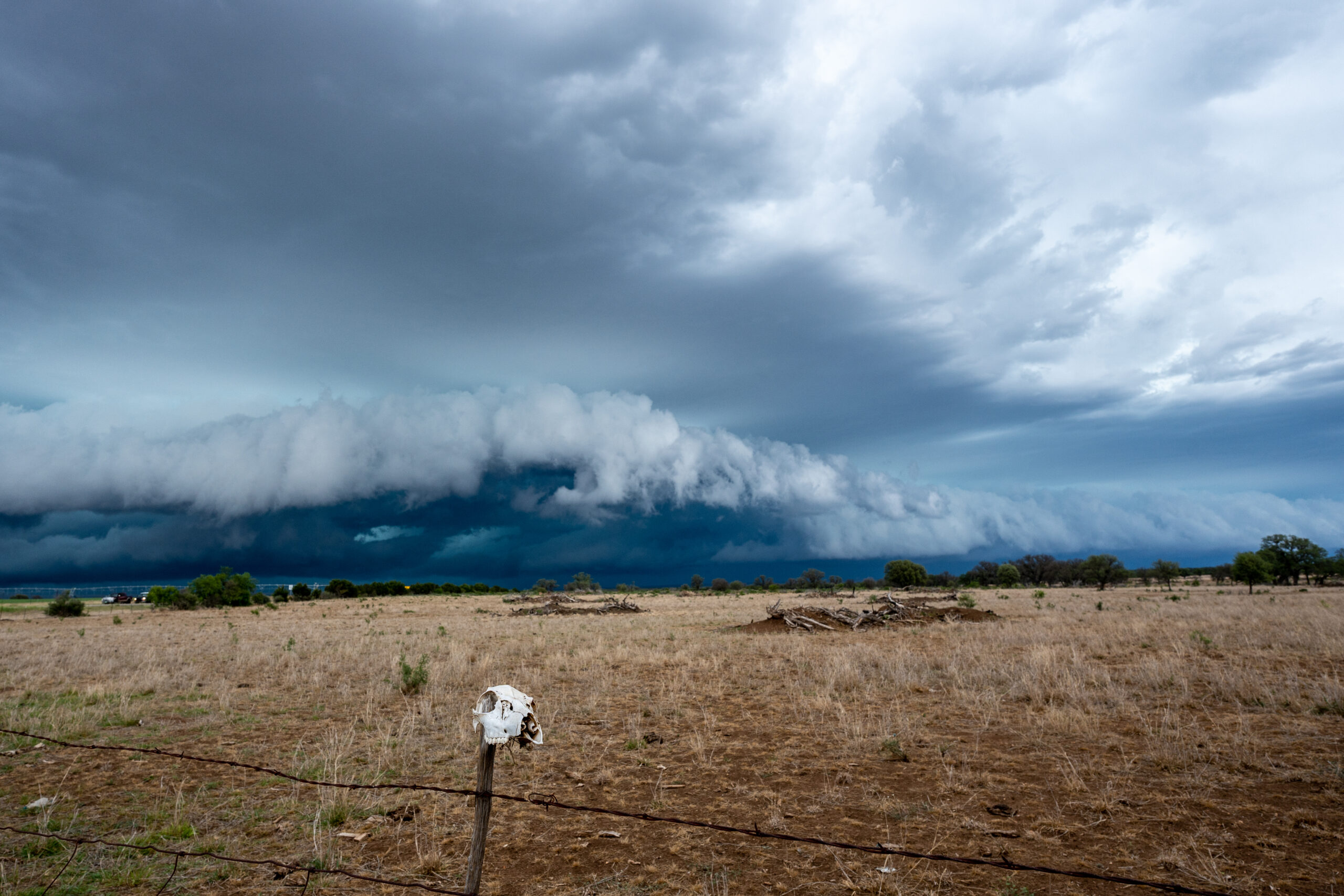 Mehr über den Artikel erfahren Texas Coldfront