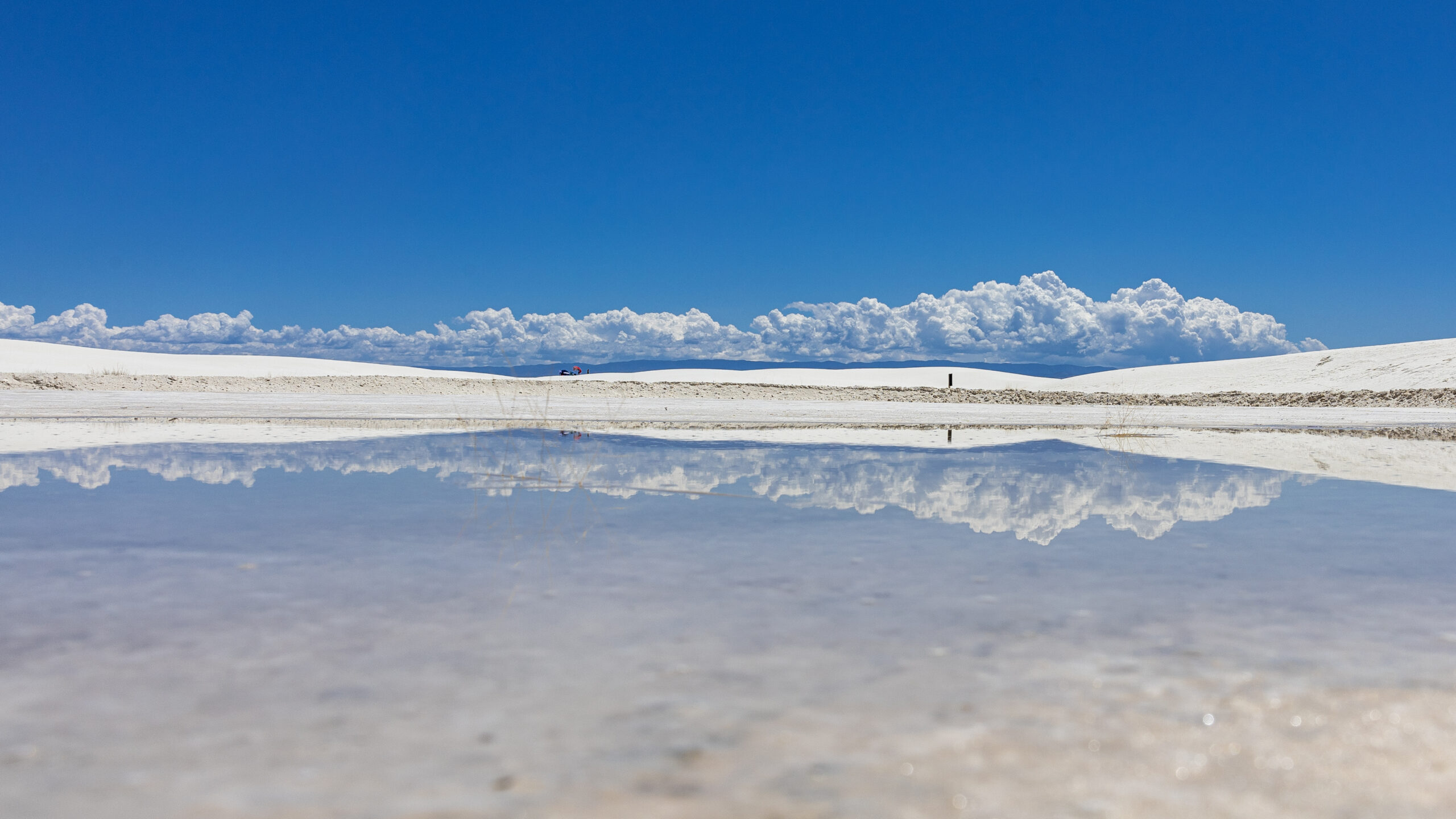 Mehr über den Artikel erfahren 21.05.2023 – White Sands geht immer